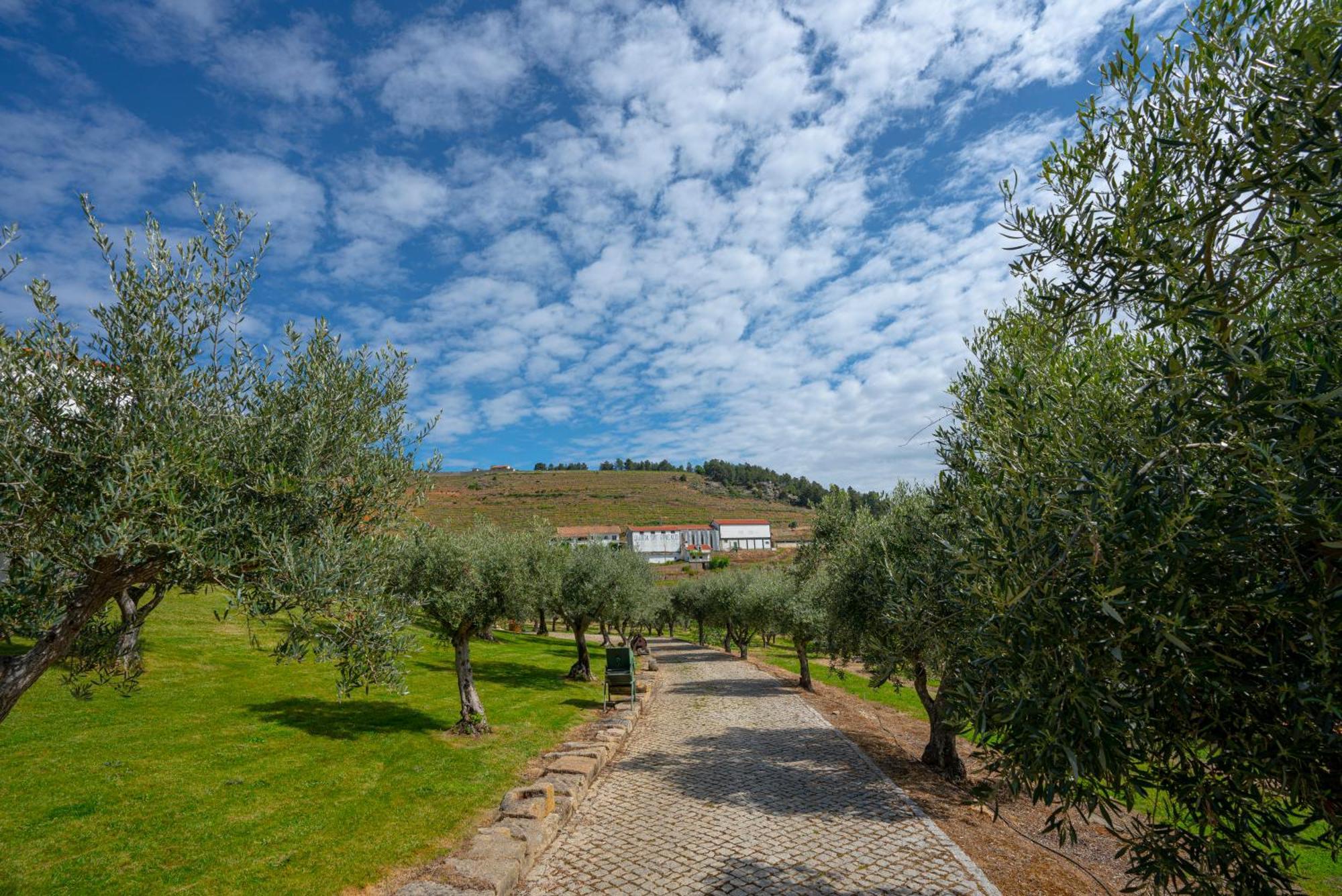 Valonquinta - Agro Hotel & Spa Vila Flor Εξωτερικό φωτογραφία